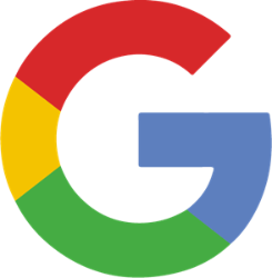 google-2015-logo-65BBD07B01-seeklogo.com