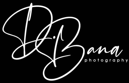 D. Bana Photography Logo