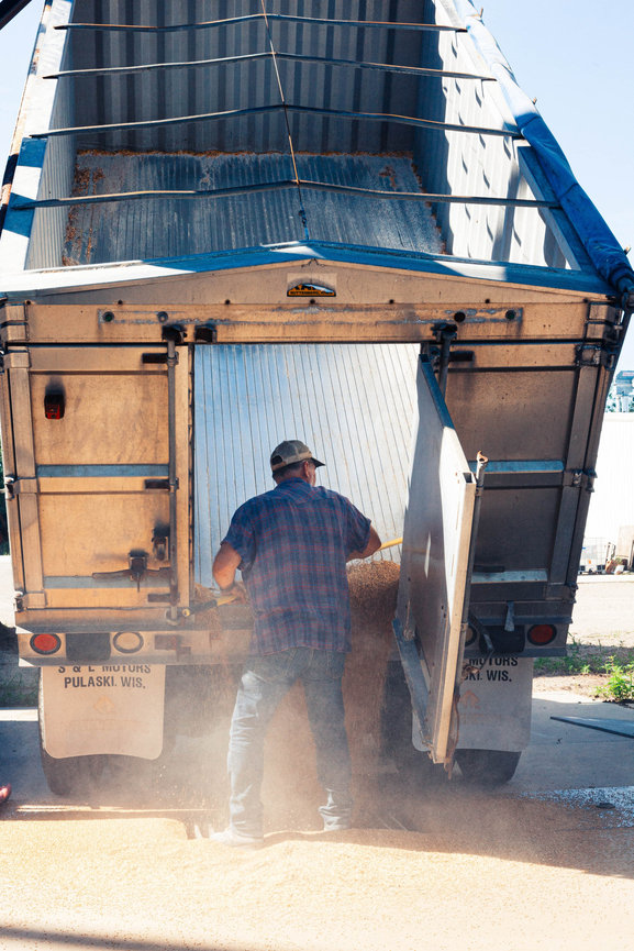 A farmer unloading grain from a truck after harvest.