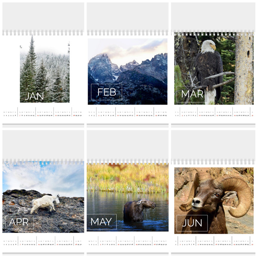 8x8 Table Top Calendar - Snowshoe Studios