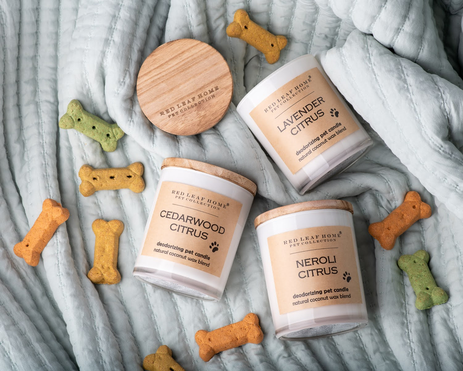 Product Photography for Red Leaf Home Candles