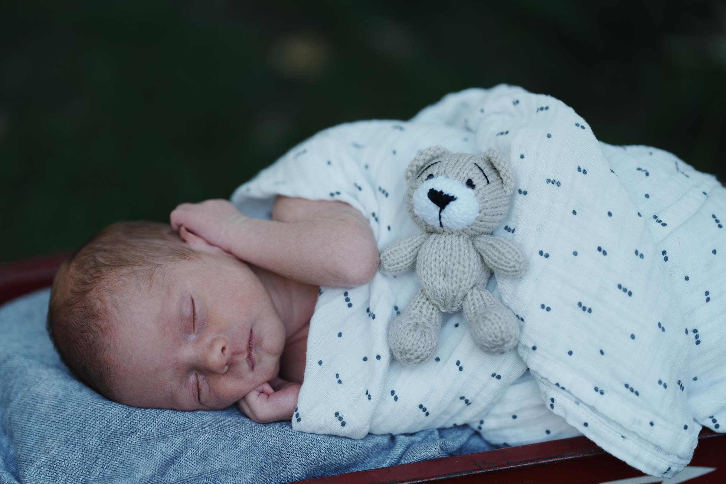 Newborn Portraits of Baby Meyer Cranberry Township and Mars Photographer