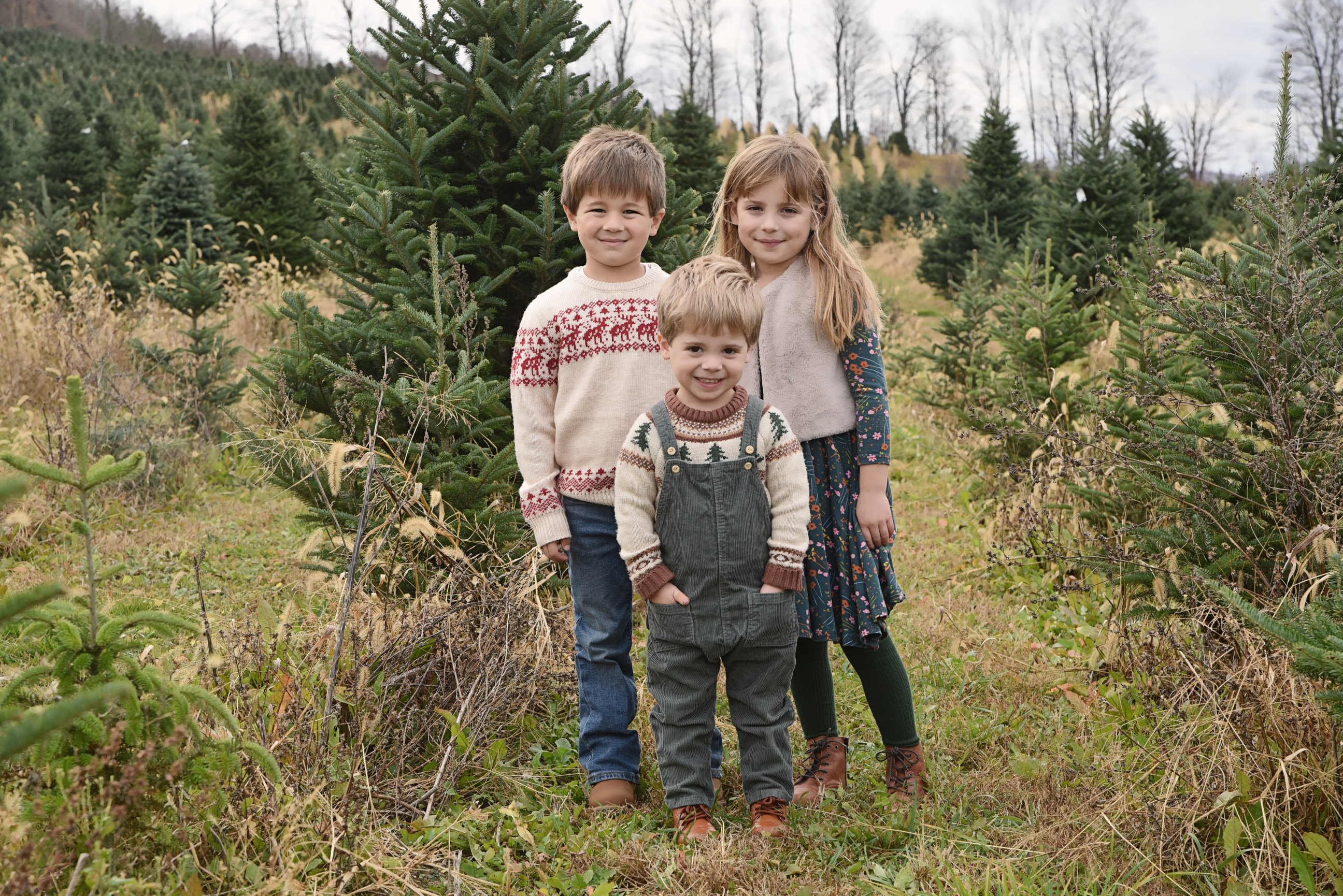 Page's Christmas Tree Farm Holiday Minis - Paul Gratien
