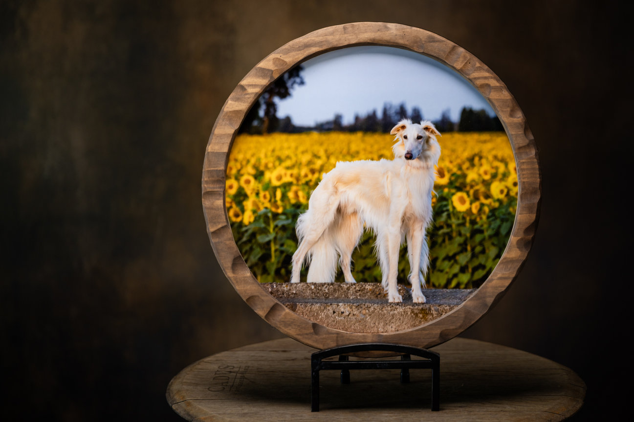 dog portrait in carved round wood frame displayed on stand