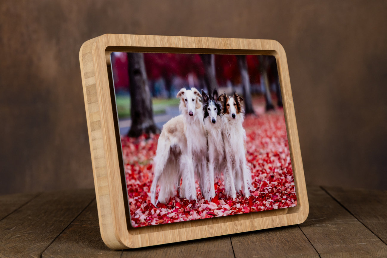 Bamboo tabletop story frame displaying a 5x7 metal pet portrait with magnetic interchangeable design