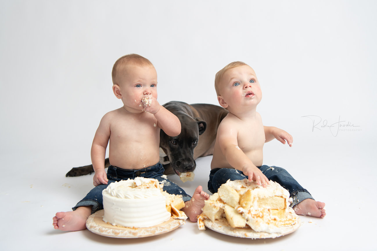 Two babies sitting on the floor with messy cake, a large dog in the background looking curiously at them.