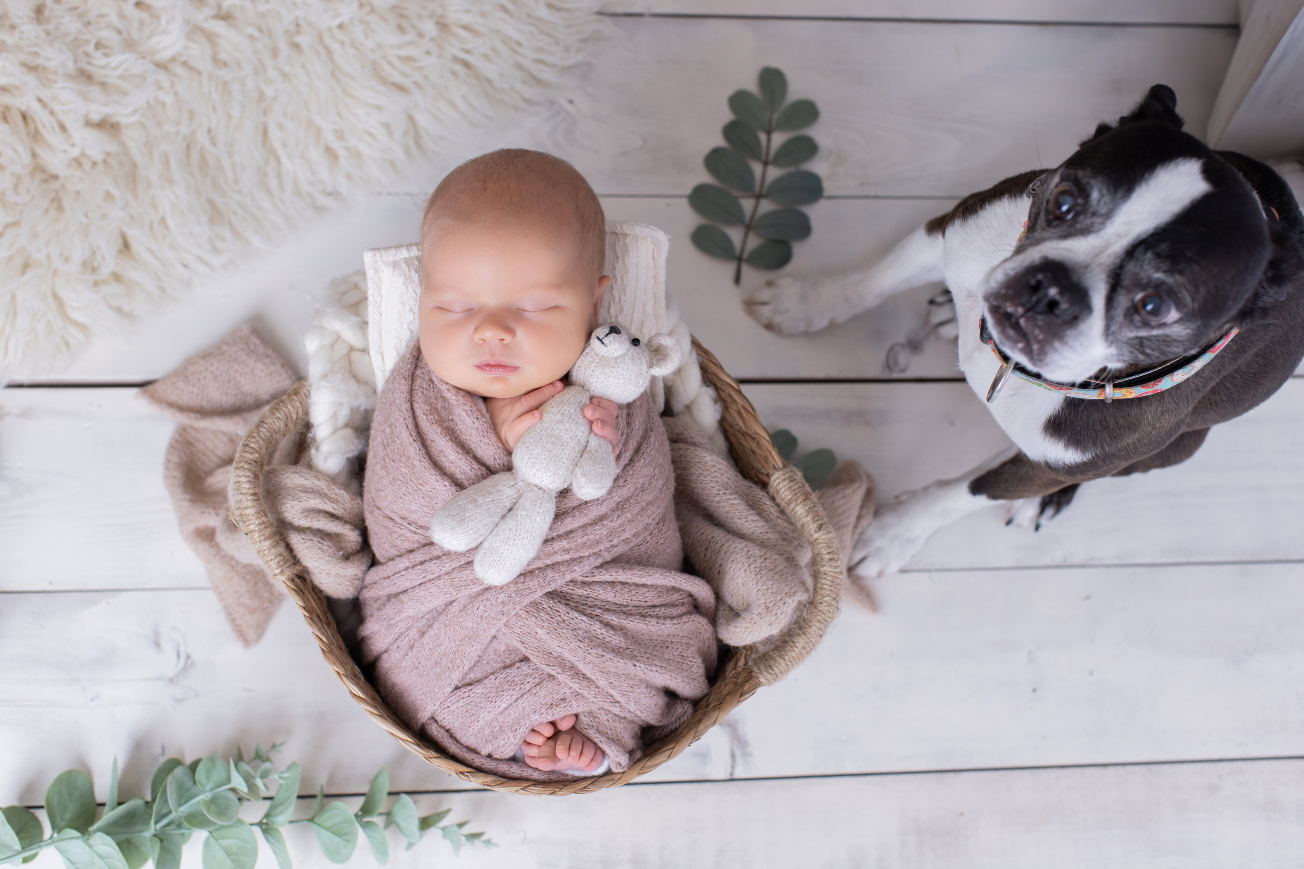 Calgary newborn photography white mauve and big brother love Newborn III session photo 11
