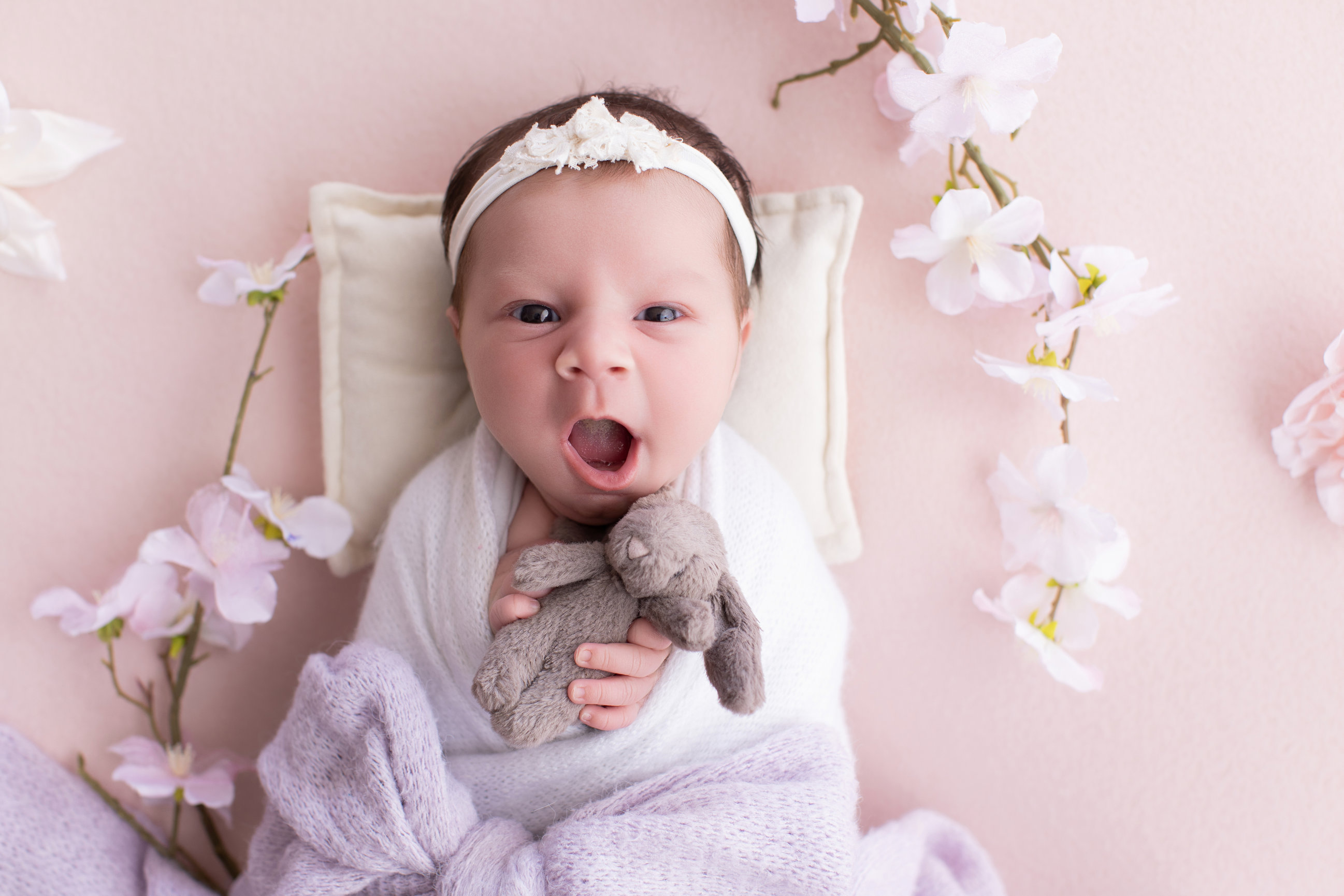 Calgary newborn photography blush pink lilac and cherry blossoms Newborn I session photo 5