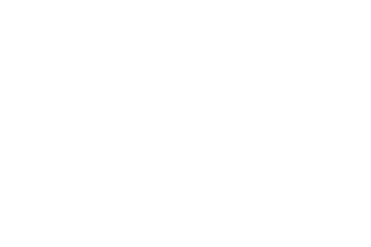 Nicole Christiansen Logo