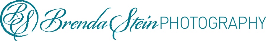 Brenda Stein Photography Logo