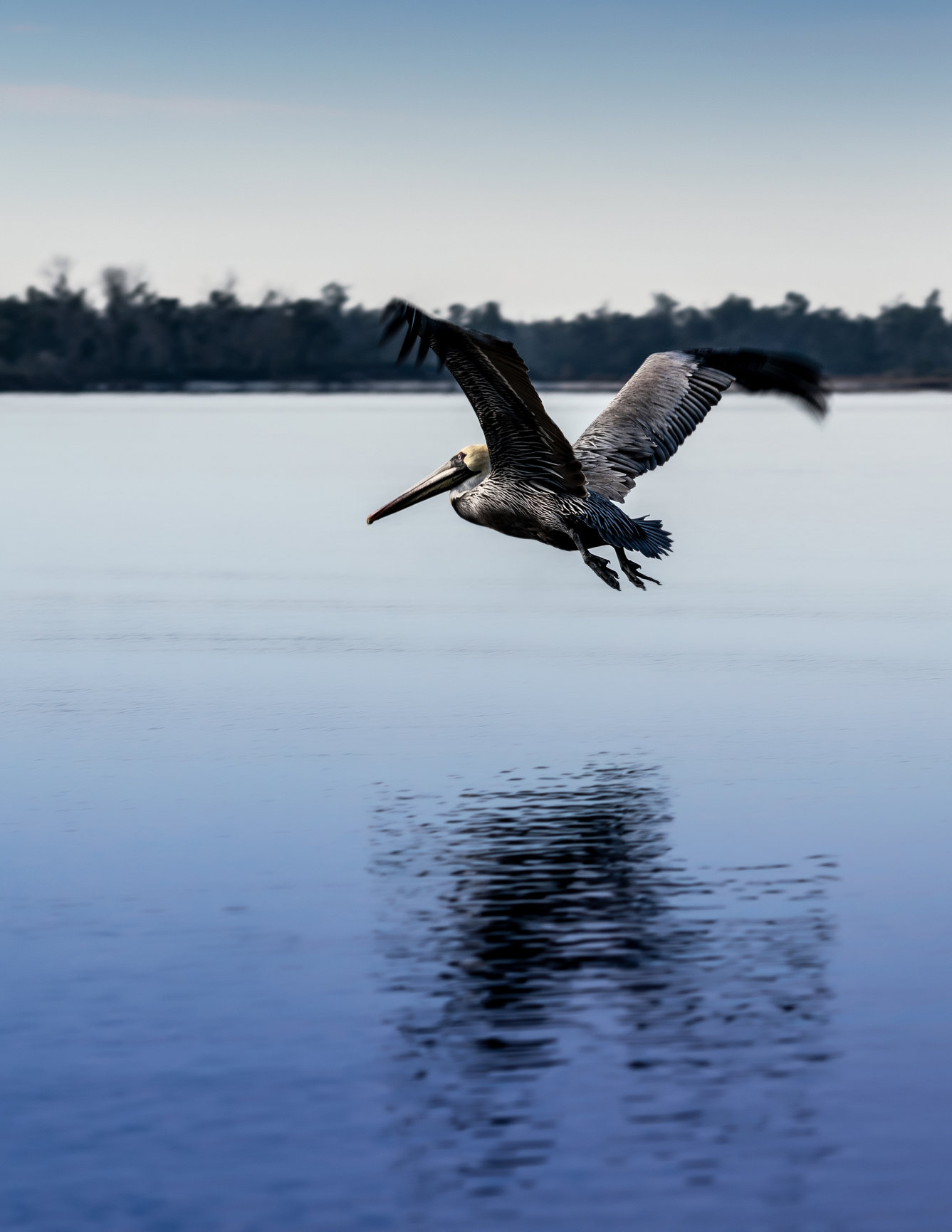 Fine Art Photography for Sale in Florida Jamie Rich Photography