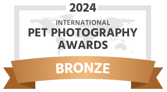 2024 International Pet Photography Awards - Bronze