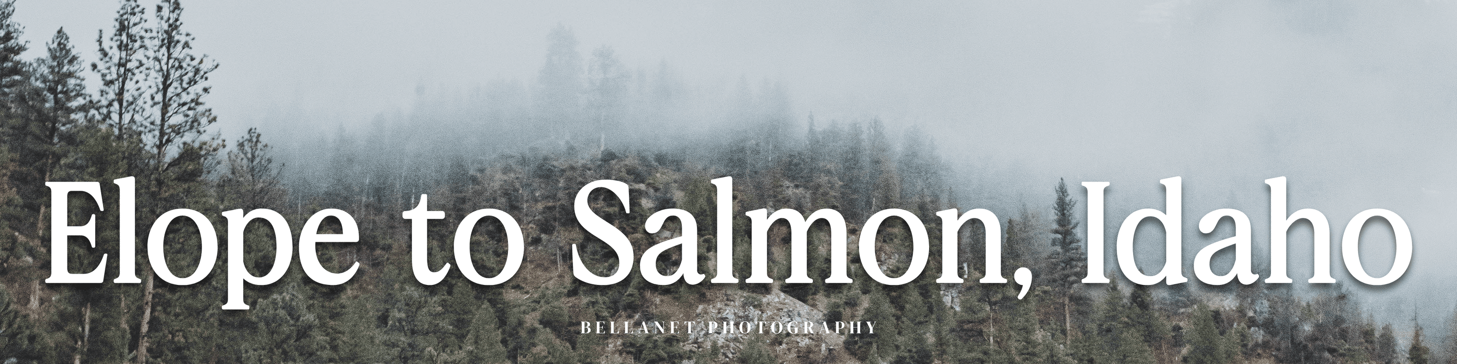 How to Plan an Elopement to Salmon, Idaho Idaho Wedding Photographer