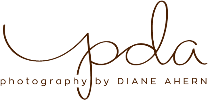 photography by diane ahern Logo