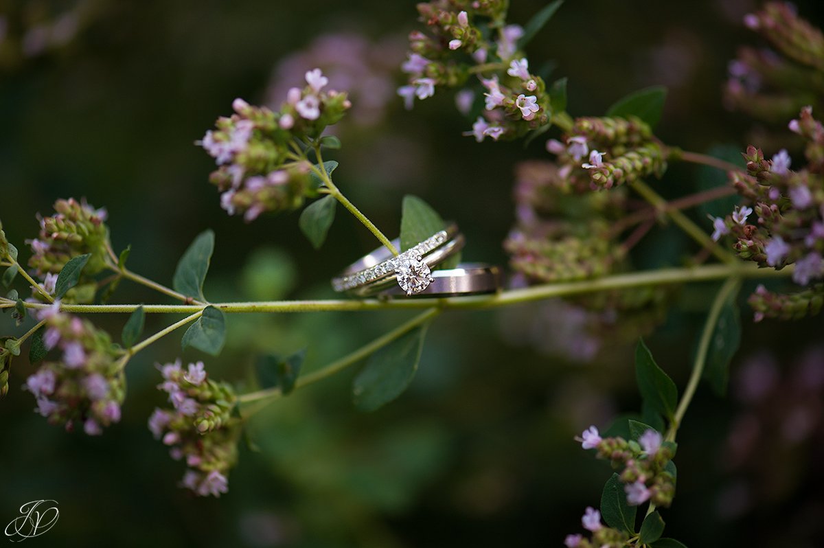 Unique wedding ring shot, with the rings on flowers