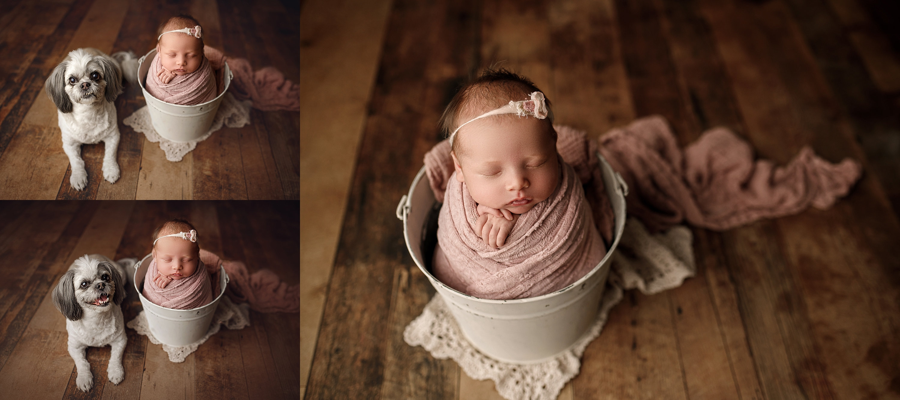 Newborn Photography Calgary Everly s Studio Newborn Session