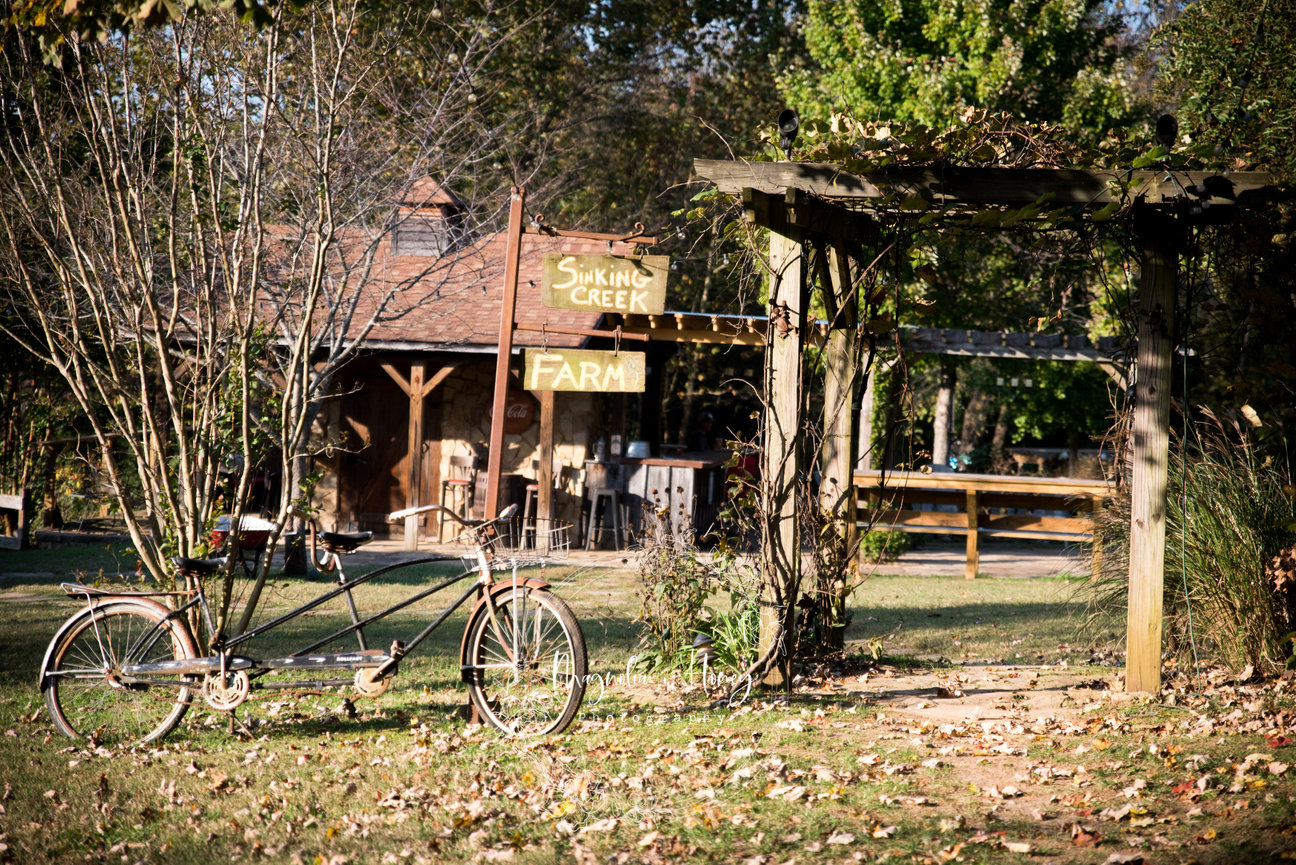 Circle P Ranch Mt. Juliet, Tennessee - Magnolia + Honey Photography