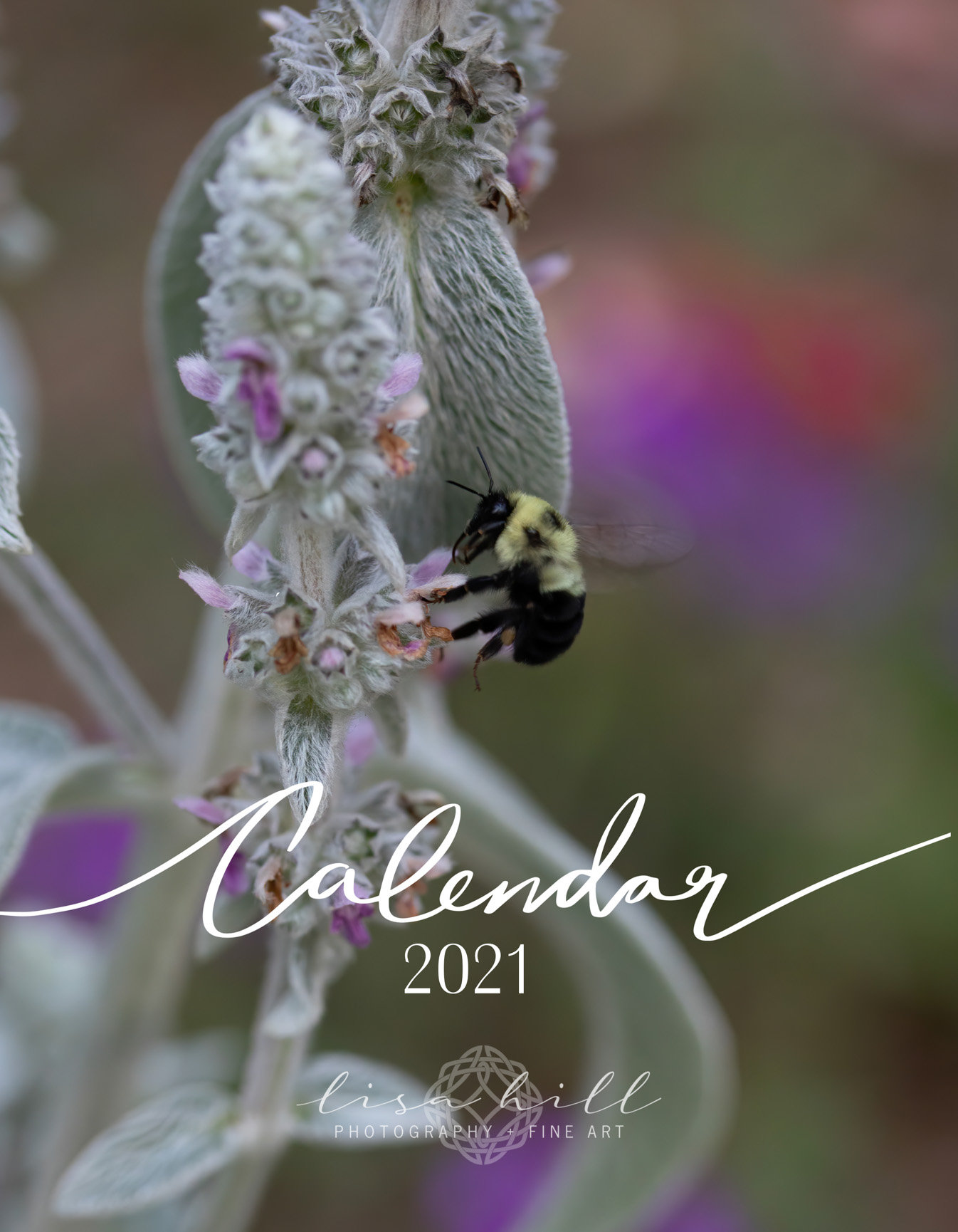 2021 Bee Wall Calendar Lisa Hill Photography