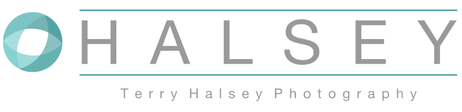 Terry Halsey Logo